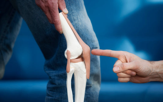 Collagen Derivatives in Osteoarthritis and Cartilage Repair
