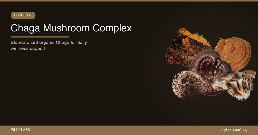 Pilly Labs Chaga Mushroom Complex: Standardized Organic Chaga for Daily Wellness Support