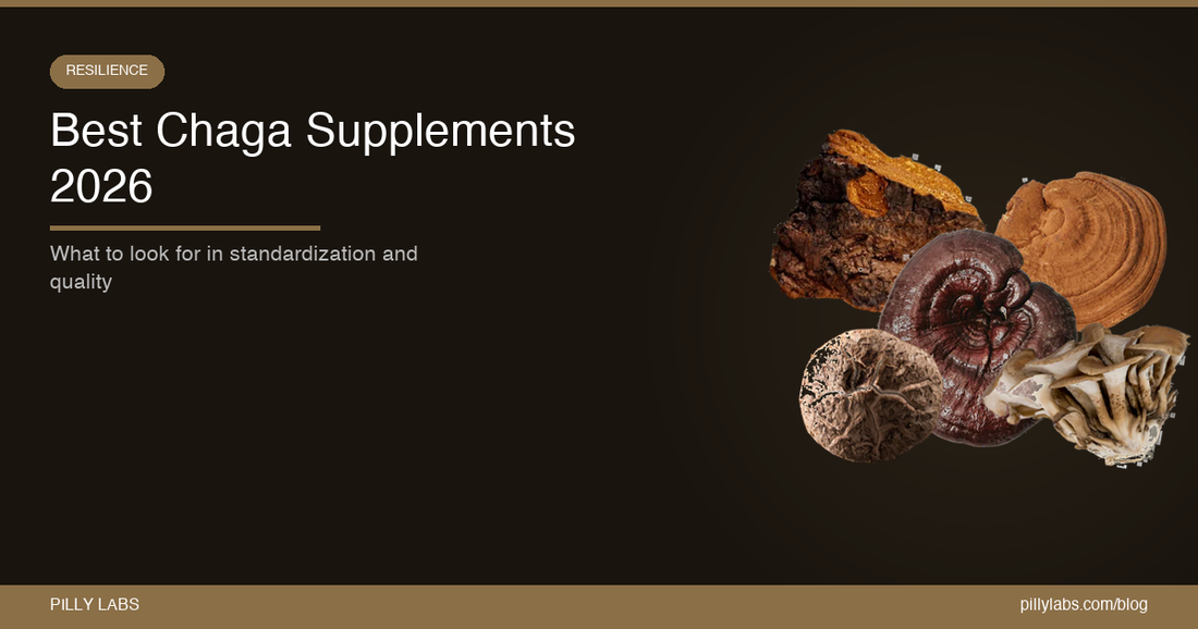 Best Chaga Mushroom Supplements 2026: What to Look for in Standardization and Quality
