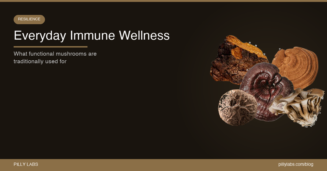 Everyday Immune Wellness: What Functional Mushrooms Are Traditionally Used For