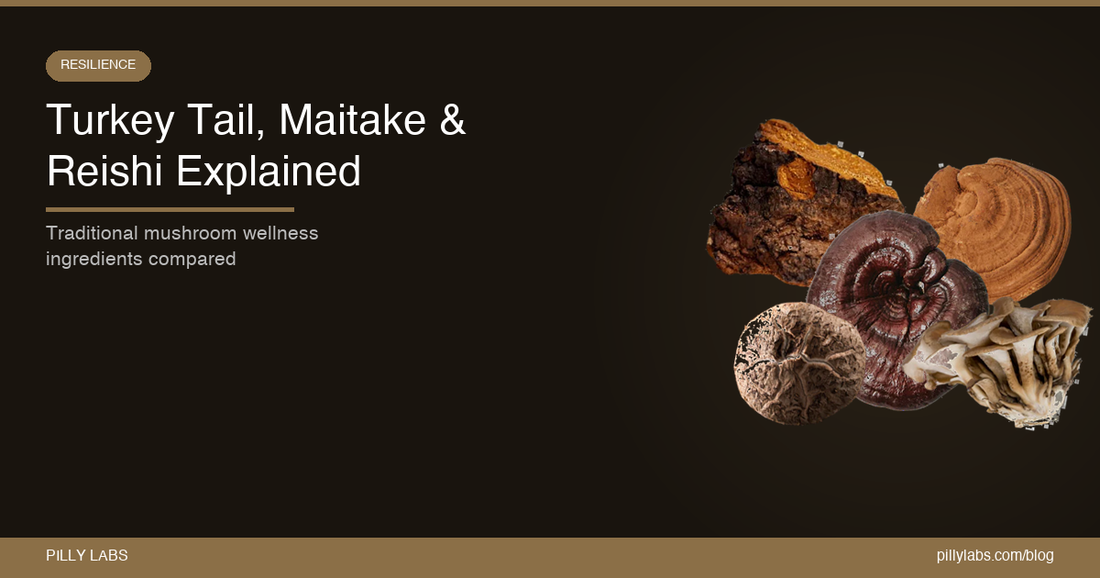 Turkey Tail, Maitake, and Reishi: Traditional Mushroom Wellness Ingredients Explained