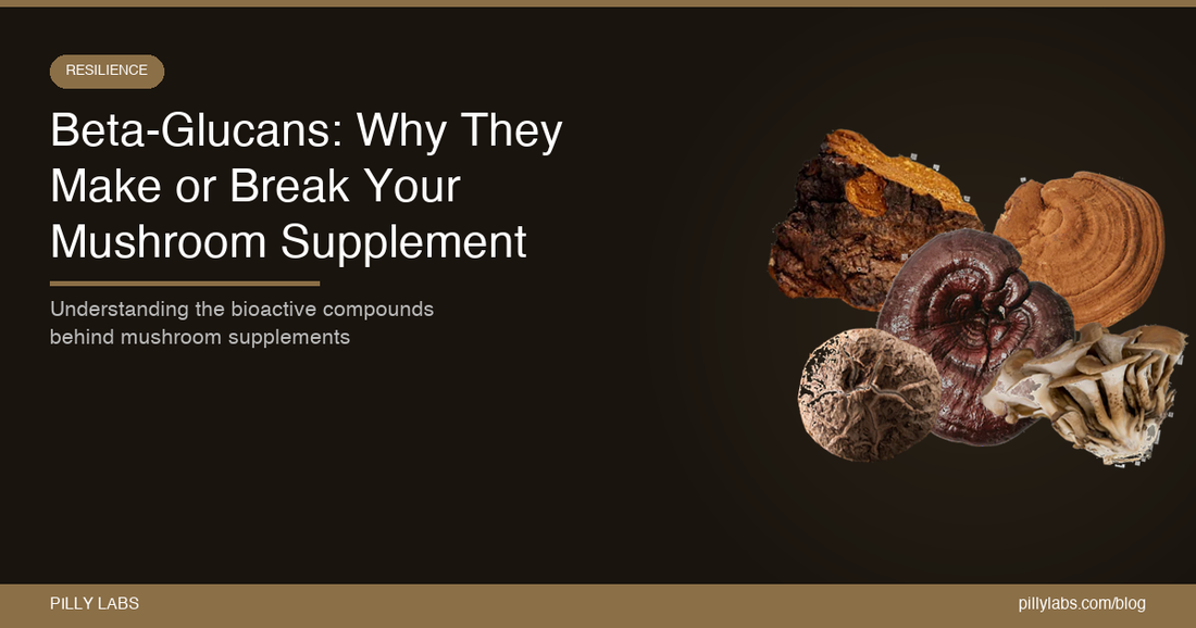Beta-Glucans: Why They Make or Break Your Mushroom Supplement