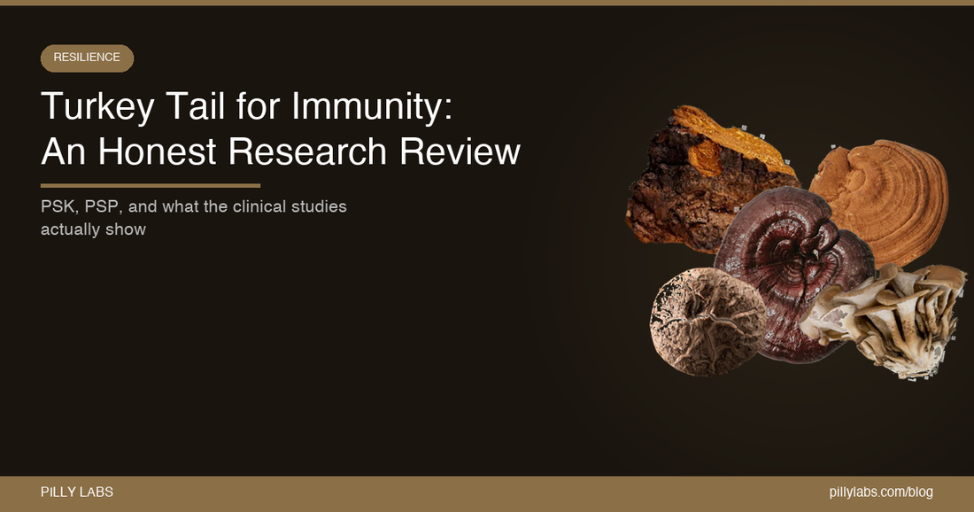 Turkey Tail Mushroom for Immunity: An Honest Research Review