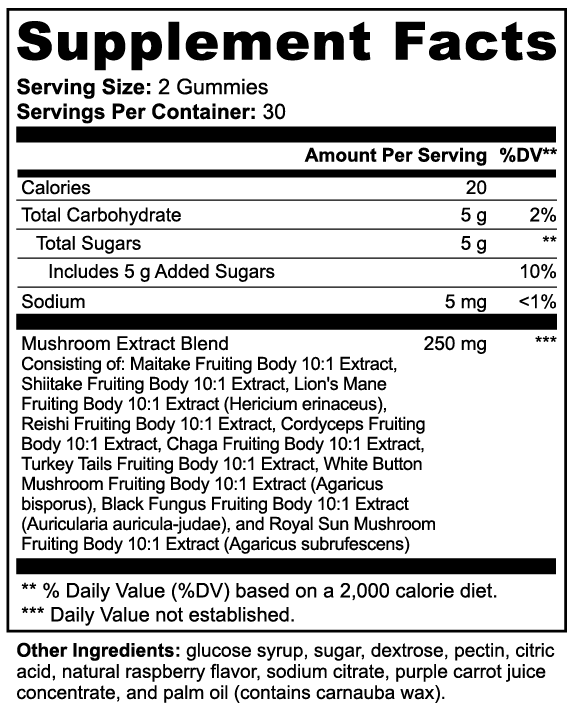 Mushroom Gummies (10 Functional Mushrooms) — 3 Bottles