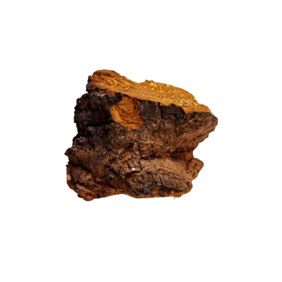 Pilly Labs community