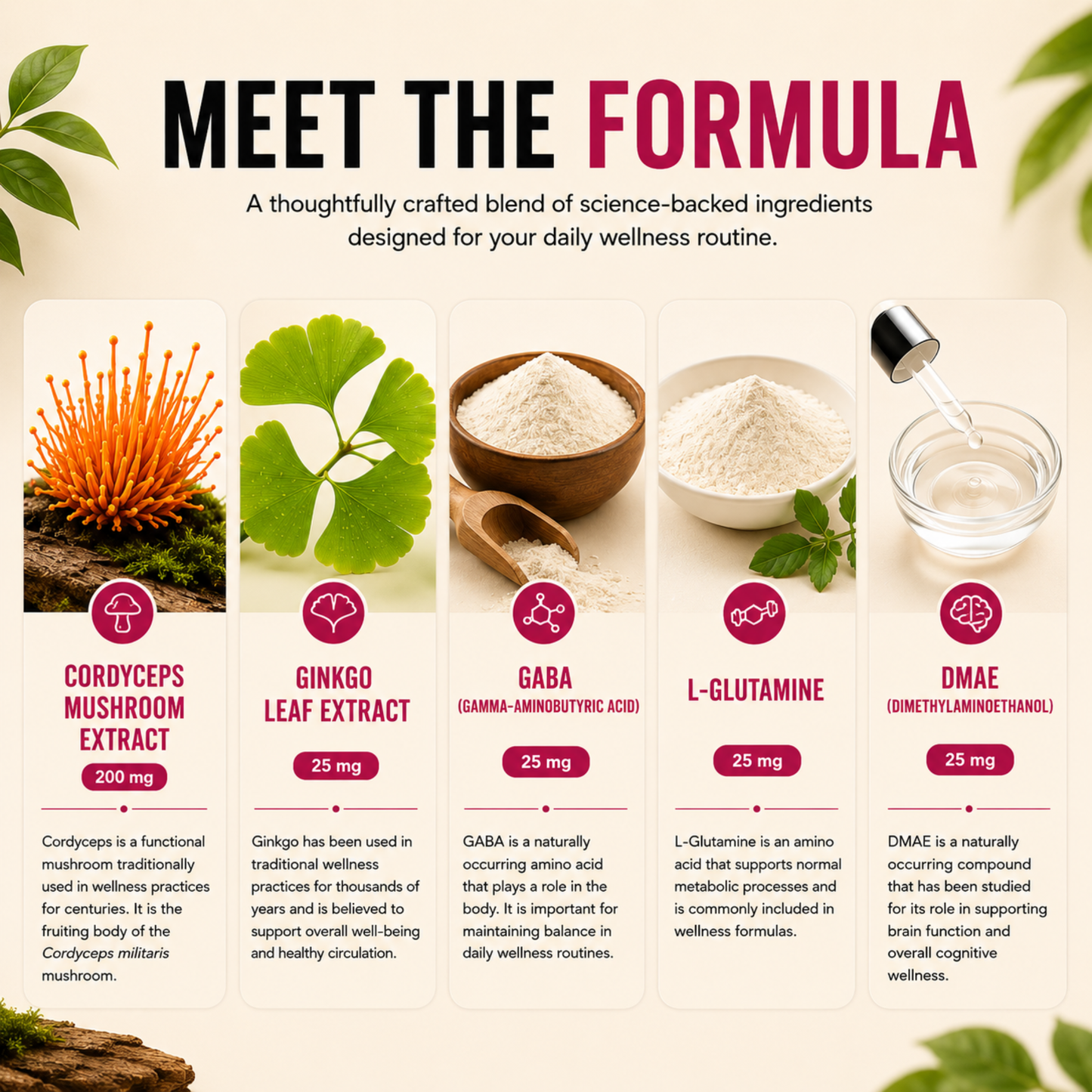 Cordyceps Energy Gummies