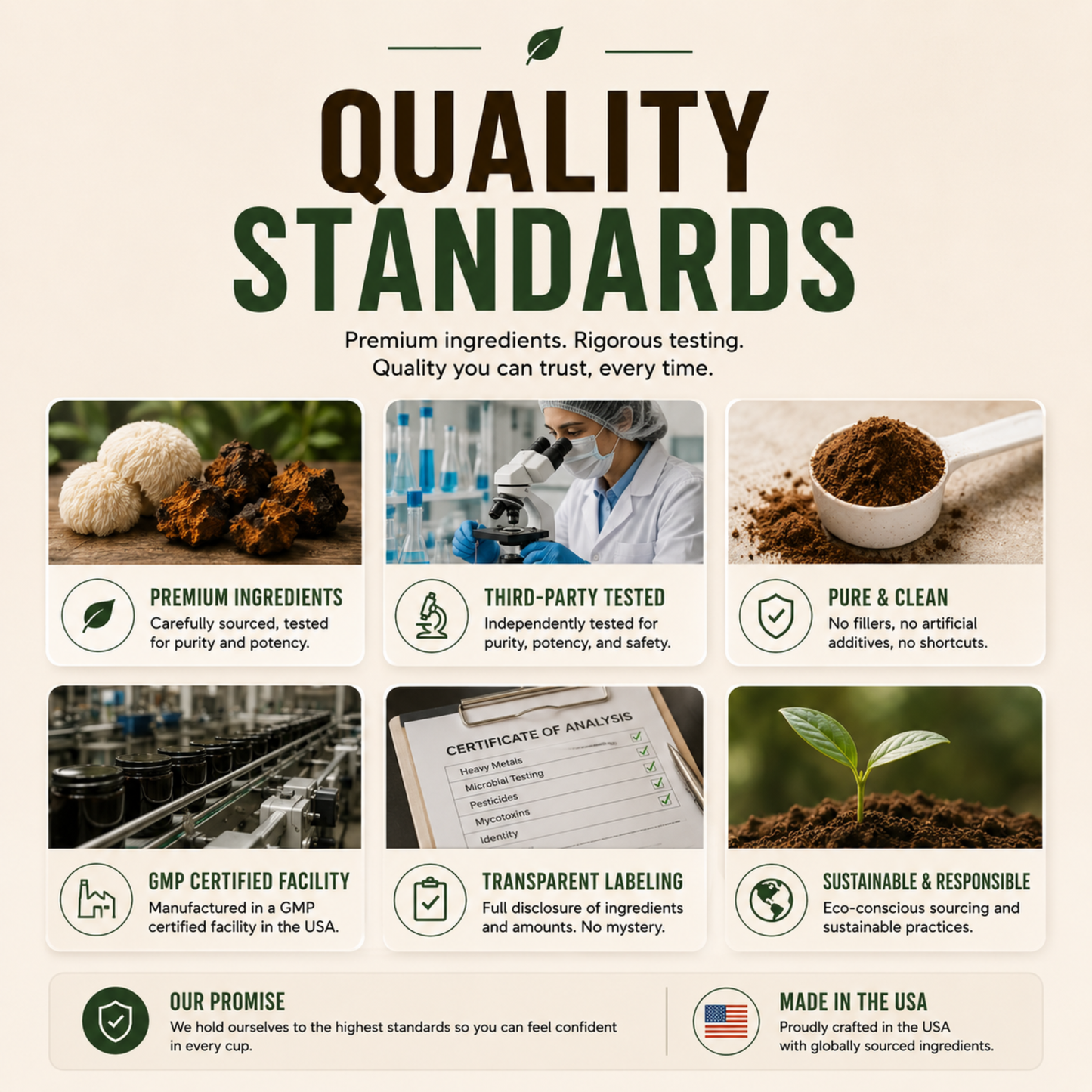Vitality Mushroom Coffee (Medium Roast)