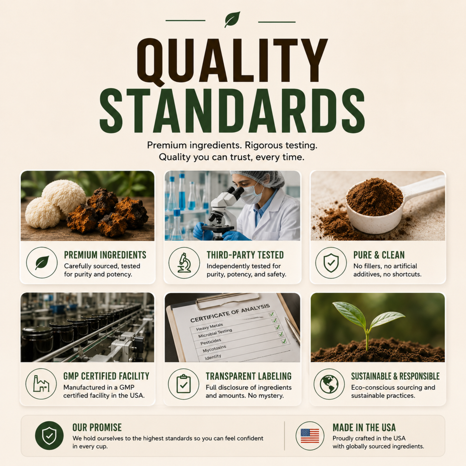 Vitality Mushroom Coffee (Medium Roast)