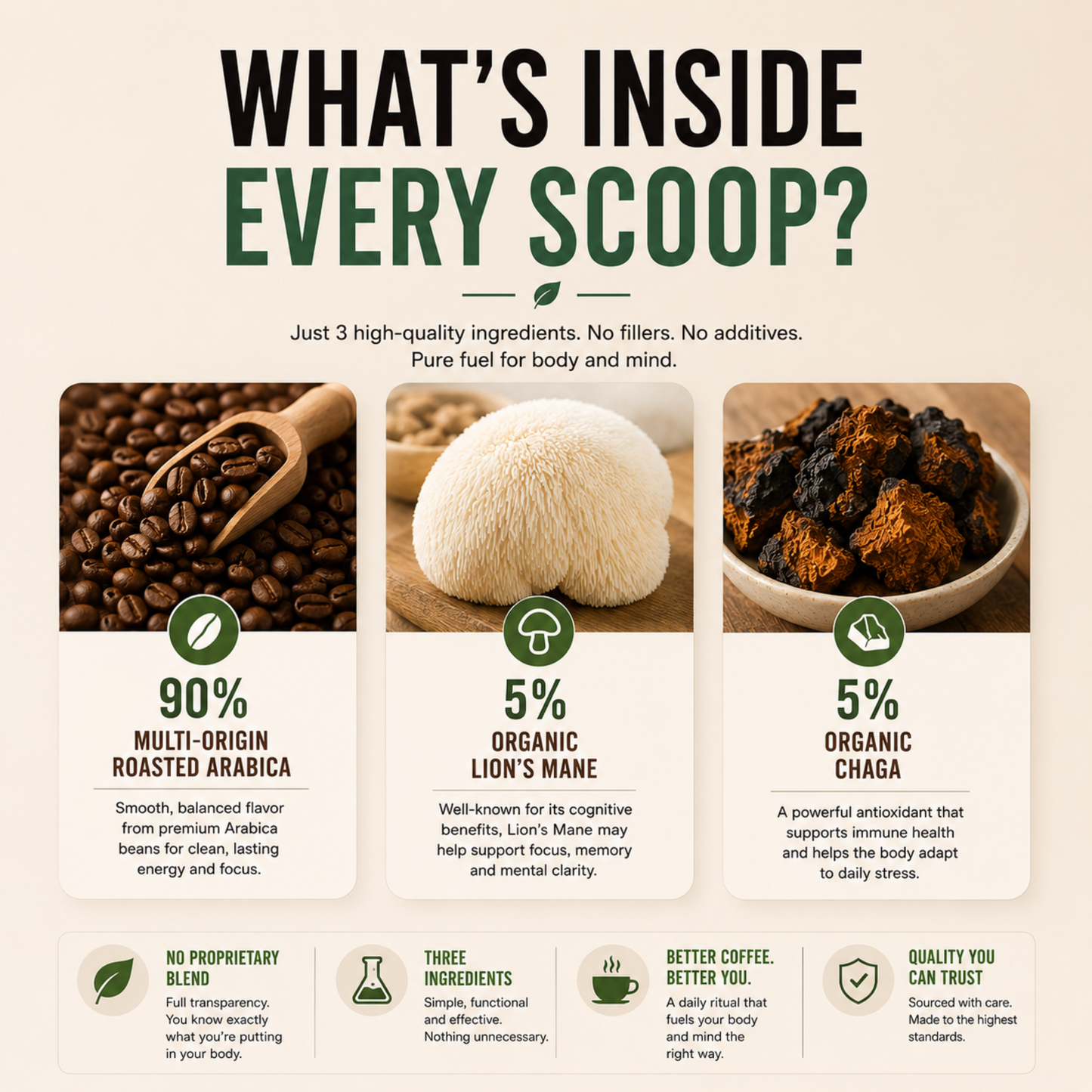 Vitality Mushroom Coffee (Medium Roast)