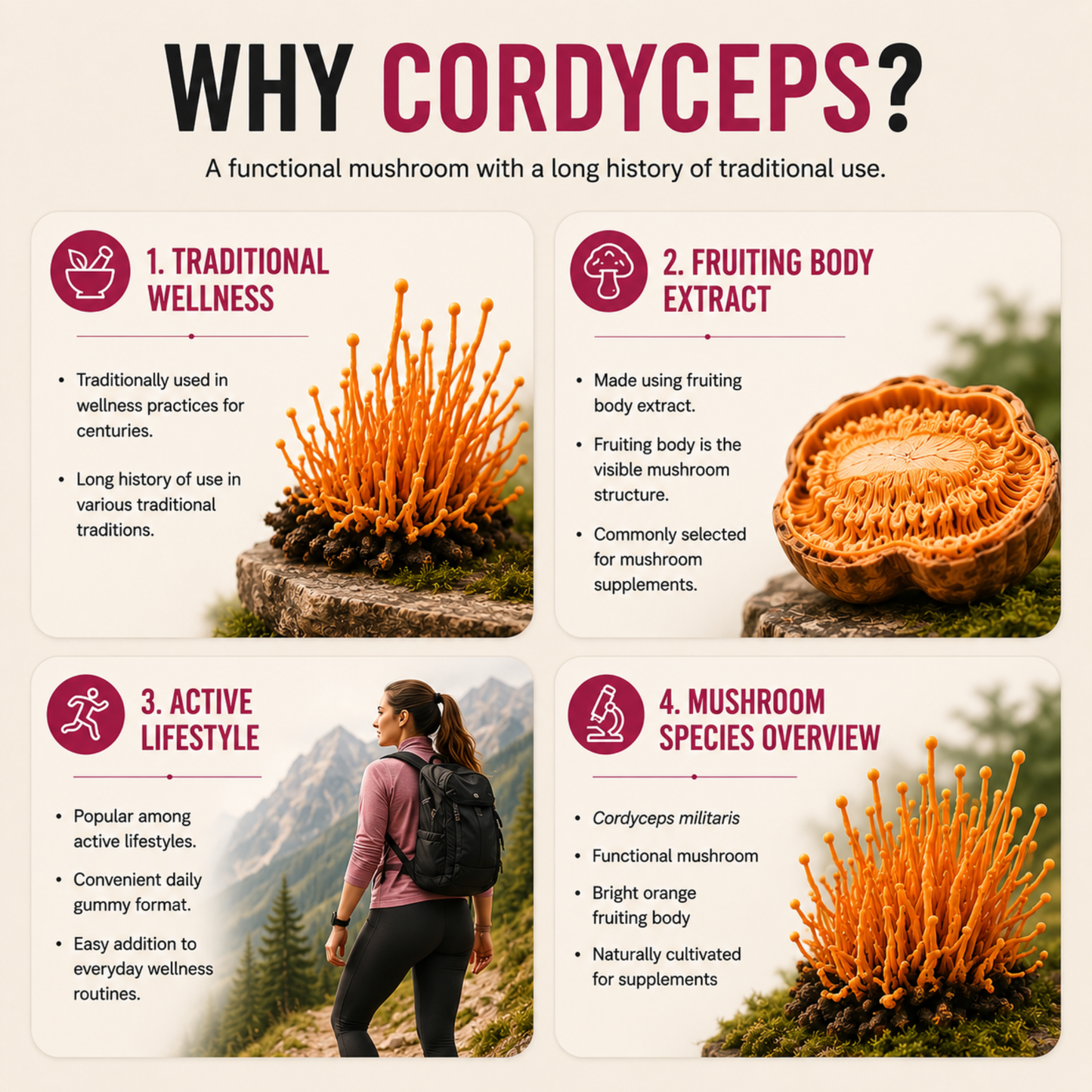 Cordyceps Energy Gummies