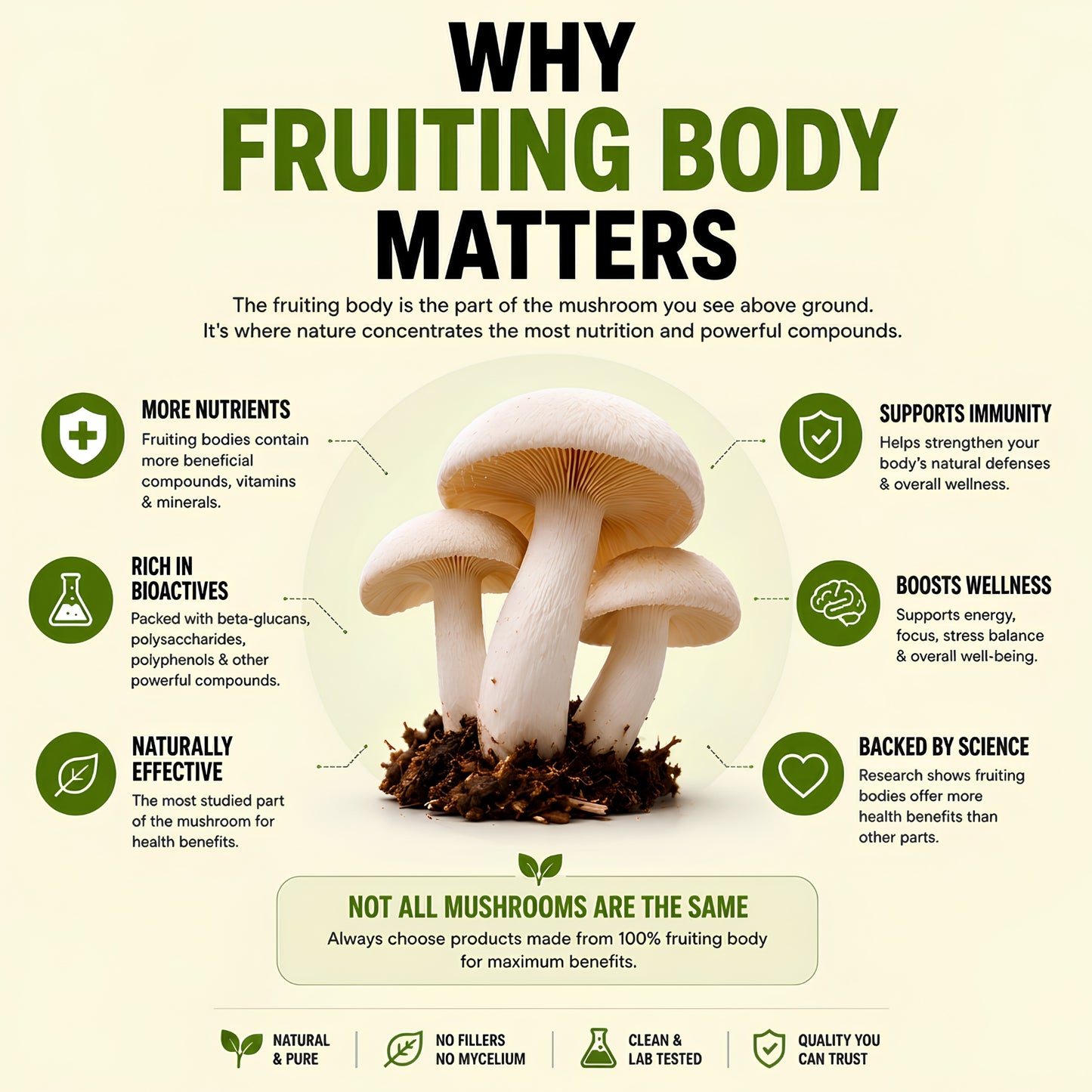 Mushroom Gummies (10 Functional Mushrooms)